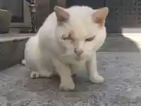 宝寿院(愛知県)