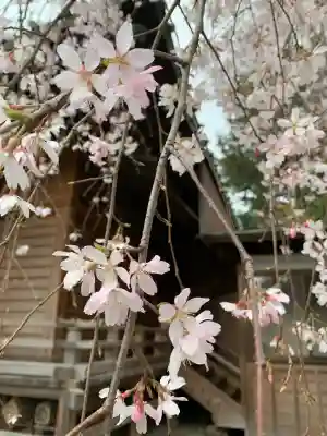 深見神社の{uncategorized: "未分類", other: "その他", undefined: "問題あり", building: "その他建物", grave: "お墓", sacred_gate: "鳥居", guardian: "狛犬", statue: "像", buddha: "仏像", history: "歴史", nature: "自然", garden: "庭園", animal: "動物", pagoda: "塔", temizu: "手水舎", mountain_gate: "山門・神門", sanctuary: "本殿・本堂", subordinate: "末社・摂社", art: "芸術", scenery: "景色", jizo: "地蔵", ema: "絵馬", goshuin: "御朱印", omikuji: "おみくじ", items: "授与品その他", amulet: "お守り", goshuincho: "御朱印帳", eats: "食事", festival: "お祭り", votive_dance: "神楽", shichigosan: "七五三参", wedding: "結婚式", experience: "体験その他", initially: "初詣", around: "周辺", anti_infection: "感染症対策"}