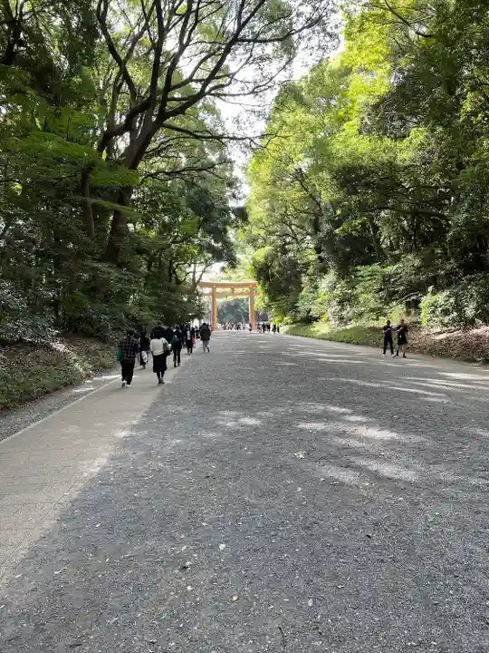 明治神宮の景色