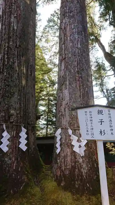 日光二荒山神社の自然