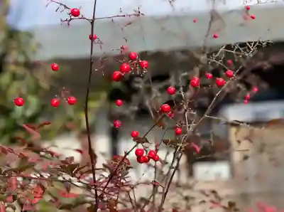伊勢の国 四天王寺(三重県)