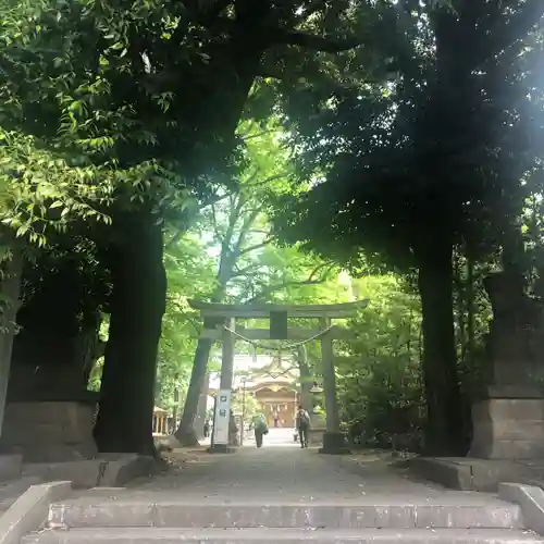 小金井神社の鳥居
