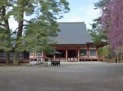 毛越寺の本殿・本堂