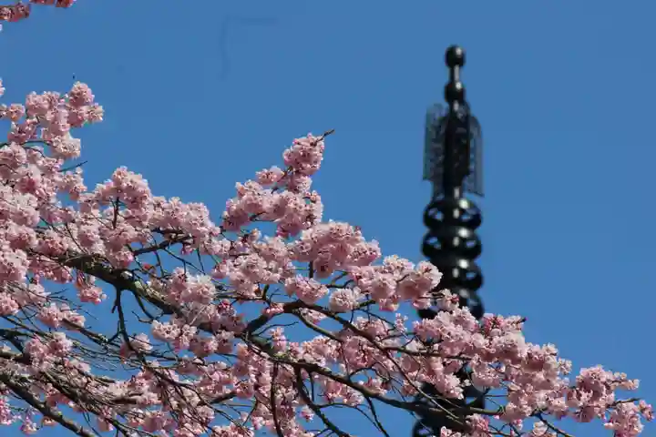 国宝 大法寺の自然