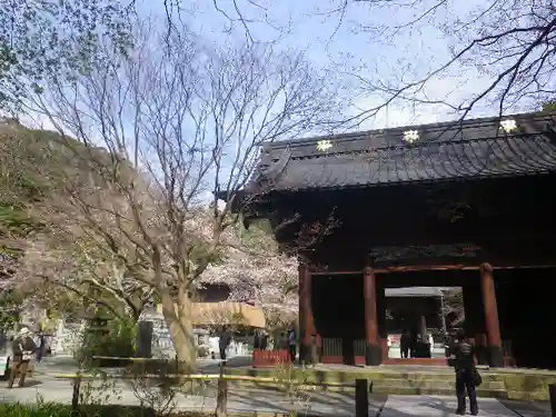 妙本寺の山門・神門