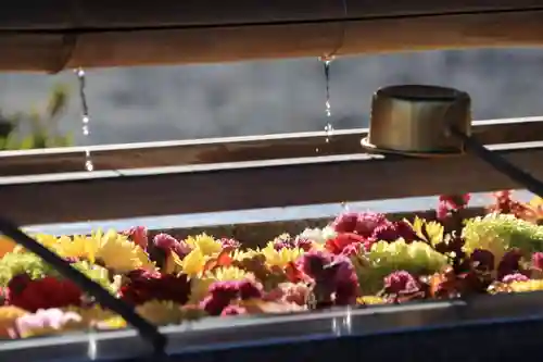 豊景神社の手水舎