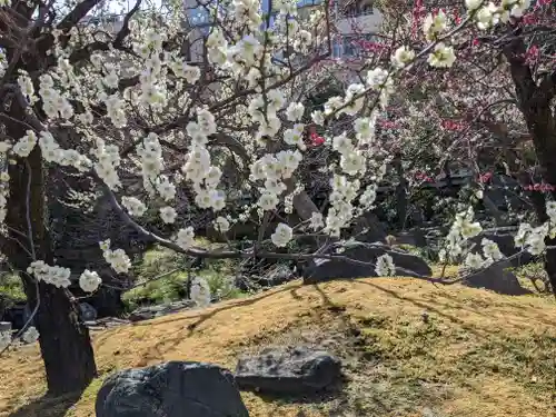 湯島天満宮の庭園