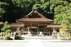 出雲大神宮の本殿