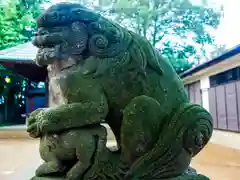 青砥杉山神社の狛犬