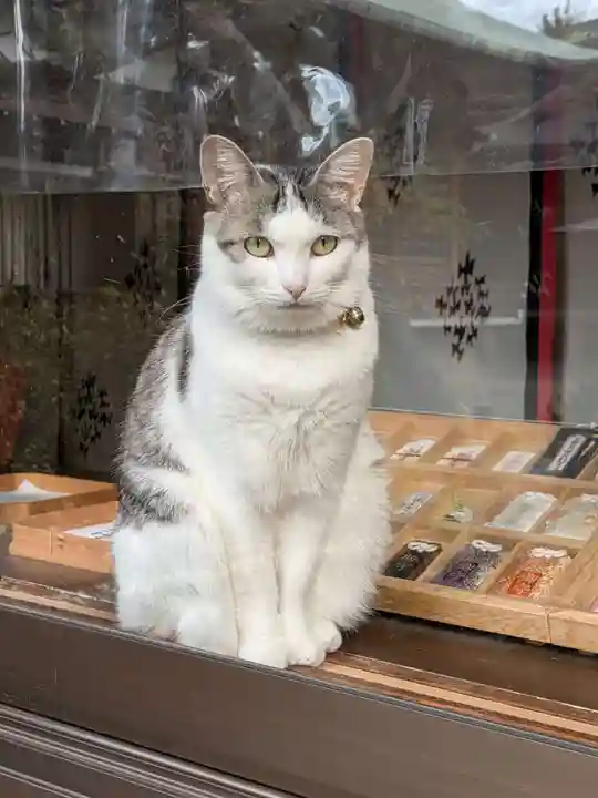 本郷氷川神社(東京都)