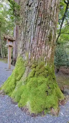 瀧原宮(皇大神宮別宮)(三重県)