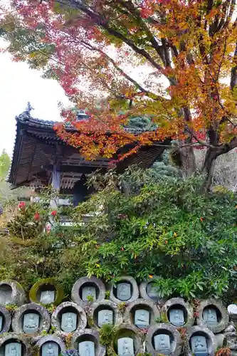 瑠璃光寺の仏像