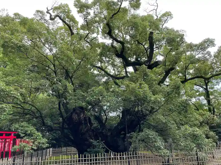 浜松八幡宮の自然