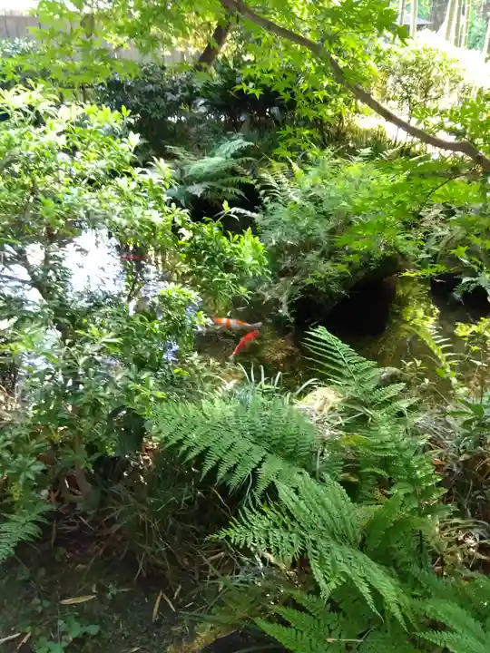 武蔵国分寺(東京都)