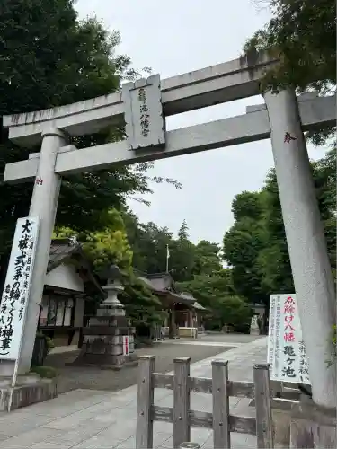 亀ケ池八幡宮(神奈川県)