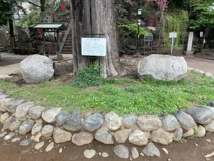 駒込富士神社の{uncategorized: "未分類", other: "その他", undefined: "問題あり", building: "その他建物", grave: "お墓", sacred_gate: "鳥居", guardian: "狛犬", statue: "像", buddha: "仏像", history: "歴史", nature: "自然", garden: "庭園", animal: "動物", pagoda: "塔", temizu: "手水舎", mountain_gate: "山門・神門", sanctuary: "本殿・本堂", subordinate: "末社・摂社", art: "芸術", scenery: "景色", jizo: "地蔵", ema: "絵馬", goshuin: "御朱印", omikuji: "おみくじ", items: "授与品その他", amulet: "お守り", goshuincho: "御朱印帳", eats: "食事", festival: "お祭り", votive_dance: "神楽", shichigosan: "七五三参", wedding: "結婚式", experience: "体験その他", initially: "初詣", around: "周辺", anti_infection: "感染症対策"}