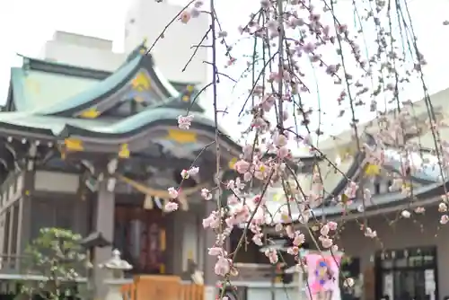 柏神社(千葉県)