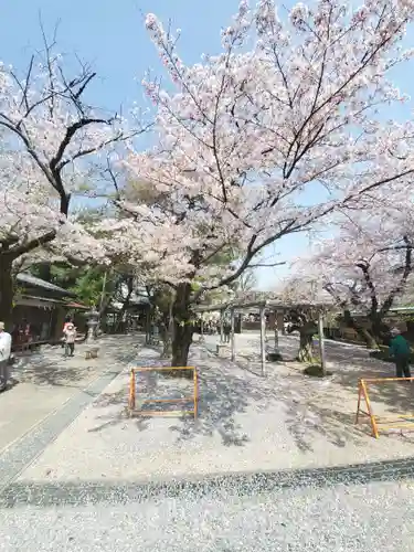 日限富士浅間神社の自然