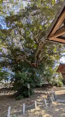 旦椋神社(京都府)