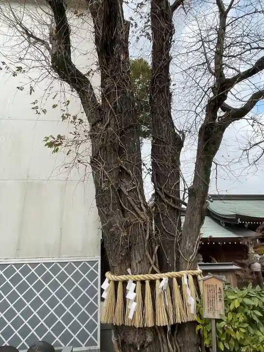 櫛田神社の自然