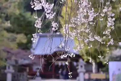 伊豆山神社(静岡県)