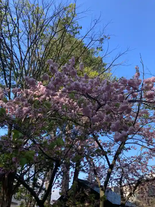 信濃神社(北海道)