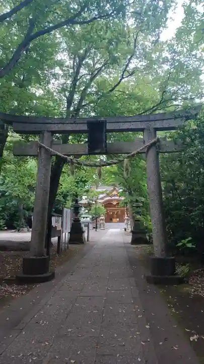 小金井神社の鳥居