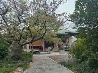 妙法寺(大阪府)