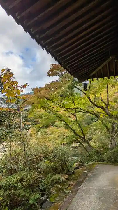 慈氏院(京都府)