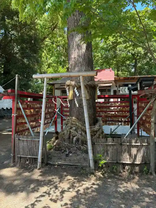 平塚八幡宮の{uncategorized: "未分類", other: "その他", undefined: "問題あり", building: "その他建物", grave: "お墓", sacred_gate: "鳥居", guardian: "狛犬", statue: "像", buddha: "仏像", history: "歴史", nature: "自然", garden: "庭園", animal: "動物", pagoda: "塔", temizu: "手水舎", mountain_gate: "山門・神門", sanctuary: "本殿・本堂", subordinate: "末社・摂社", art: "芸術", scenery: "景色", jizo: "地蔵", ema: "絵馬", goshuin: "御朱印", omikuji: "おみくじ", items: "授与品その他", amulet: "お守り", goshuincho: "御朱印帳", eats: "食事", festival: "お祭り", votive_dance: "神楽", shichigosan: "七五三参", wedding: "結婚式", experience: "体験その他", initially: "初詣", around: "周辺", anti_infection: "感染症対策"}