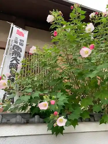 蓮光院 初馬寺(三重県)