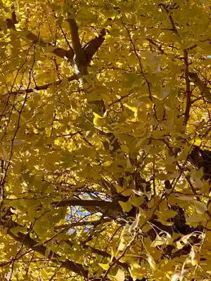 木食寺安祥院(京都府)