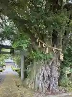 阿志都彌神社・行過天満宮の{uncategorized: "未分類", other: "その他", undefined: "問題あり", building: "その他建物", grave: "お墓", sacred_gate: "鳥居", guardian: "狛犬", statue: "像", buddha: "仏像", history: "歴史", nature: "自然", garden: "庭園", animal: "動物", pagoda: "塔", temizu: "手水舎", mountain_gate: "山門・神門", sanctuary: "本殿・本堂", subordinate: "末社・摂社", art: "芸術", scenery: "景色", jizo: "地蔵", ema: "絵馬", goshuin: "御朱印", omikuji: "おみくじ", items: "授与品その他", amulet: "お守り", goshuincho: "御朱印帳", eats: "食事", festival: "お祭り", votive_dance: "神楽", shichigosan: "七五三参", wedding: "結婚式", experience: "体験その他", initially: "初詣", around: "周辺", anti_infection: "感染症対策"}