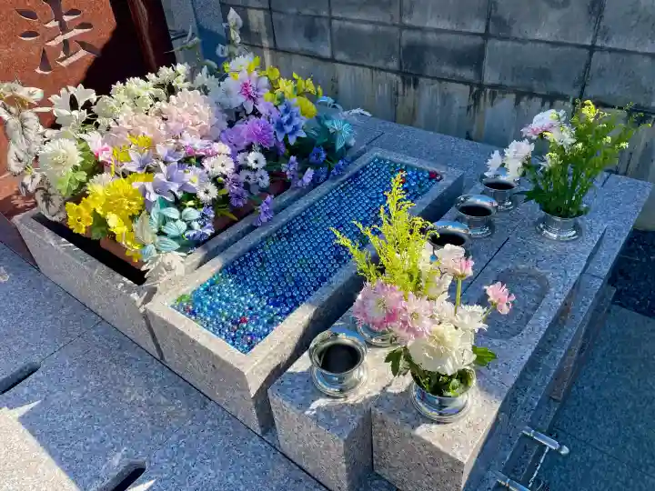 妙典寺の{uncategorized: "未分類", other: "その他", undefined: "問題あり", building: "その他建物", grave: "お墓", sacred_gate: "鳥居", guardian: "狛犬", statue: "像", buddha: "仏像", history: "歴史", nature: "自然", garden: "庭園", animal: "動物", pagoda: "塔", temizu: "手水舎", mountain_gate: "山門・神門", sanctuary: "本殿・本堂", subordinate: "末社・摂社", art: "芸術", scenery: "景色", jizo: "地蔵", ema: "絵馬", goshuin: "御朱印", omikuji: "おみくじ", items: "授与品その他", amulet: "お守り", goshuincho: "御朱印帳", eats: "食事", festival: "お祭り", votive_dance: "神楽", shichigosan: "七五三参", wedding: "結婚式", experience: "体験その他", initially: "初詣", around: "周辺", anti_infection: "感染症対策"}