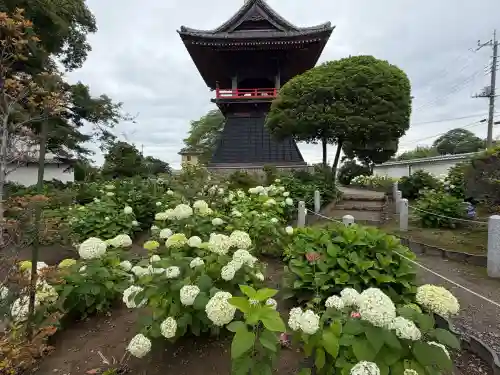 能護寺(埼玉県)