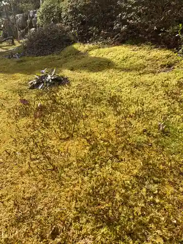 徳善院明王密寺の自然