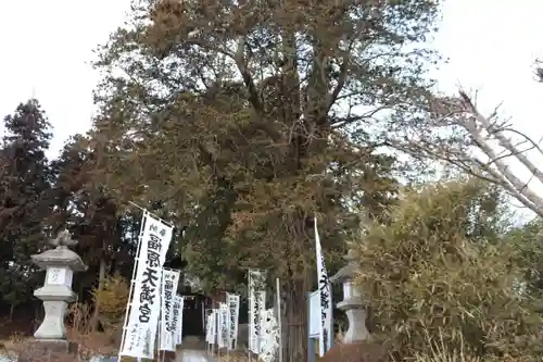 豊景神社の景色