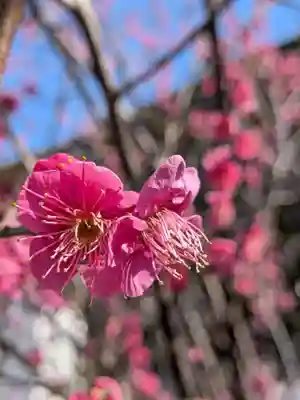 成田山深川不動堂（新勝寺東京別院）(東京都)