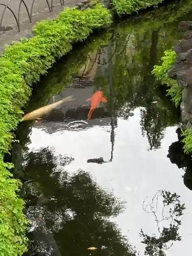 天祖諏訪神社(東京都)