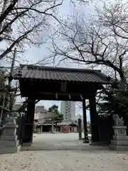 八雲神社の山門