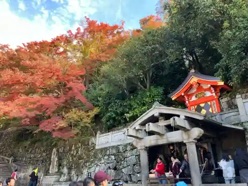 清水寺(京都府)
