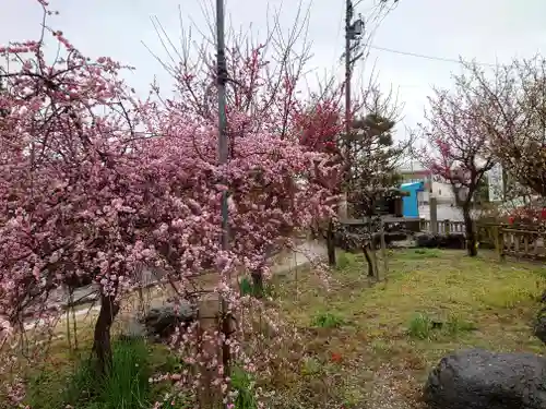 圓鏡寺(岐阜県)