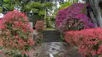 円満寺の庭園