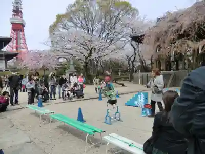 増上寺(東京都)