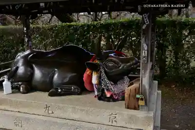 北野天満宮の狛犬