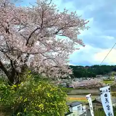 天宮神社の自然