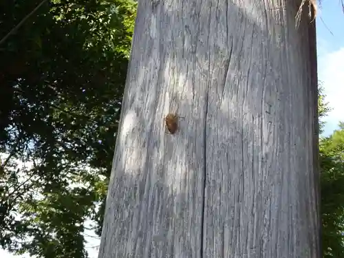 出雲大社相模分祠のその他建物