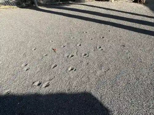 春日神社(滋賀県)