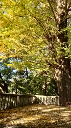 事任八幡宮(静岡県)