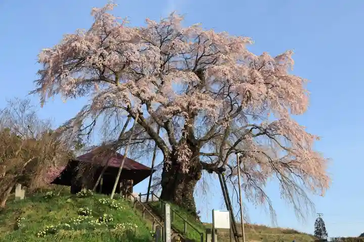 上石不動堂の自然